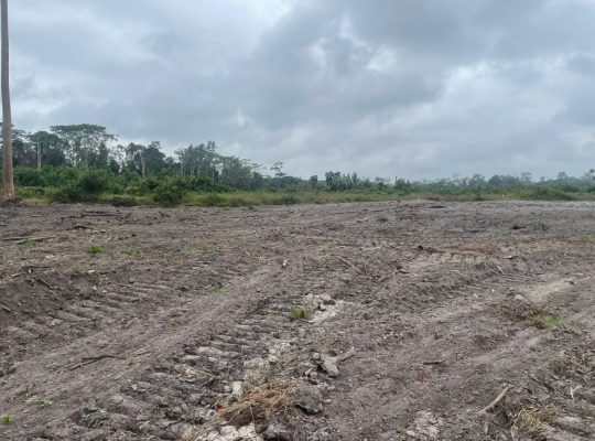 Terrain avec titre foncier à Okolassi
