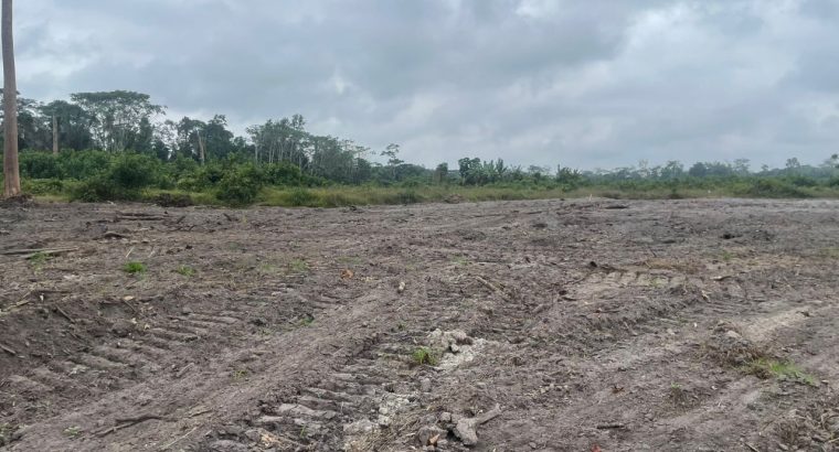 Terrain avec titre foncier à Okolassi