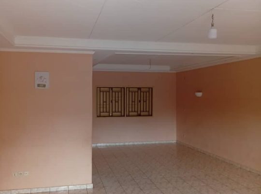 2 Appartements à vendre à Mindoube 2