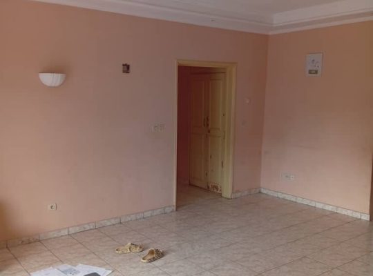 2 Appartements à vendre à Mindoube 2