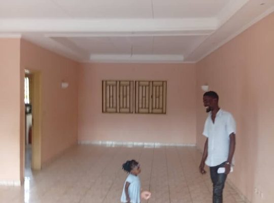 2 Appartements à vendre à Mindoube 2