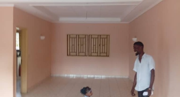 2 Appartements à vendre à Mindoube 2