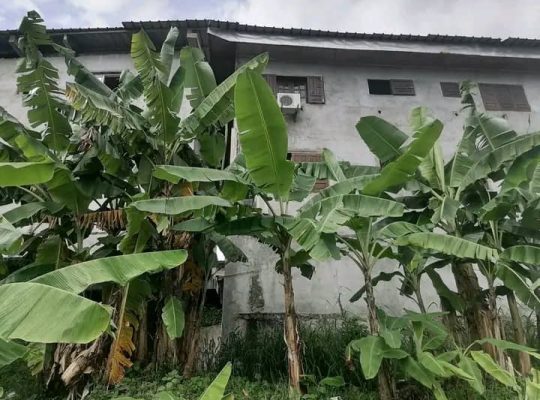 2 Appartements à Plein Ciel Porte rouge