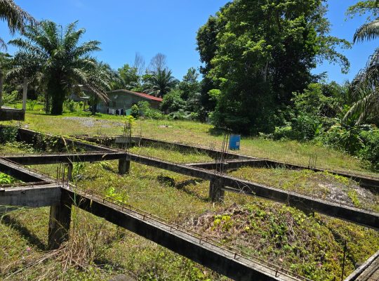 Terrain de 600 m2 à vendre au Cap Esterias