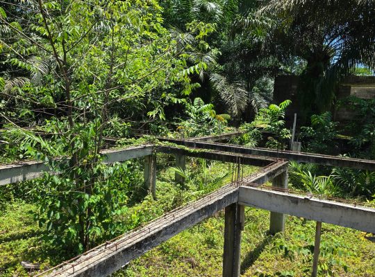 Terrain de 600 m2 à vendre au Cap Esterias