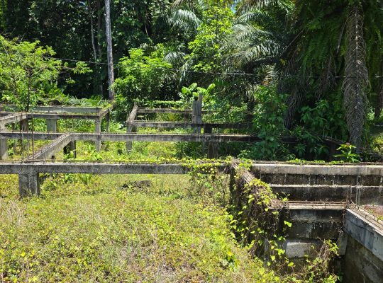 Terrain de 600 m2 à vendre au Cap Esterias