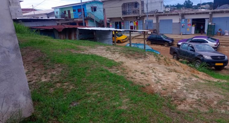 Maison de 3 Chambres à vendre à Ambowe