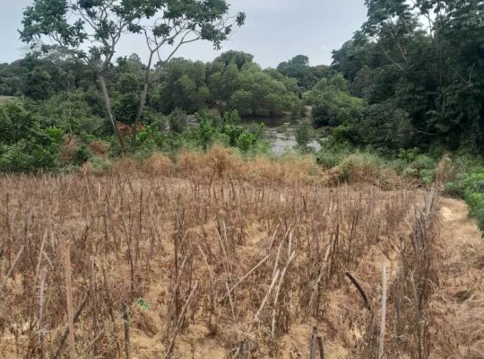 Terrain de 8000m2 avec Titre foncier Okala