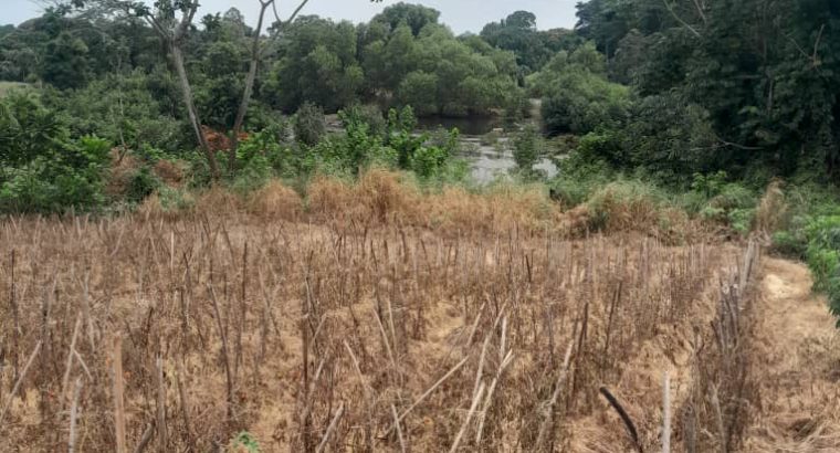 Terrain de 8000m2 avec Titre foncier Okala