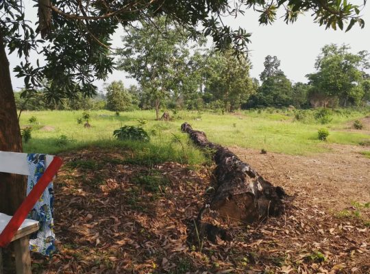 3 Hectares à Angondje