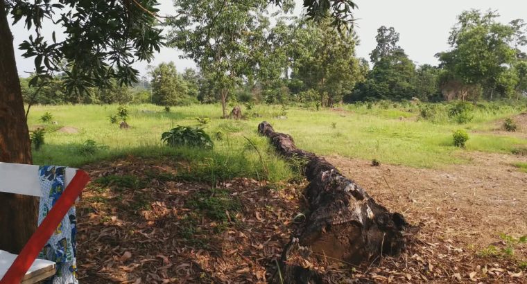 3 Hectares à Angondje