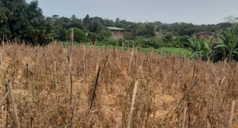 Terrain de 8000m2 avec Titre foncier Okala