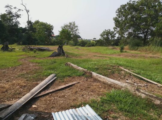 3 Hectares à Angondje