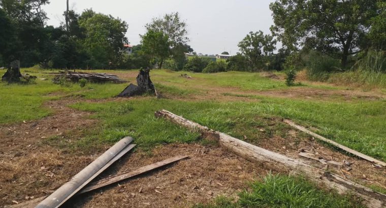 3 Hectares à Angondje