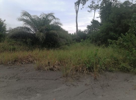 Terrain de 500m2 à Makwengue