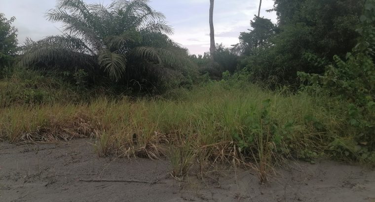 Terrain de 500m2 à Makwengue