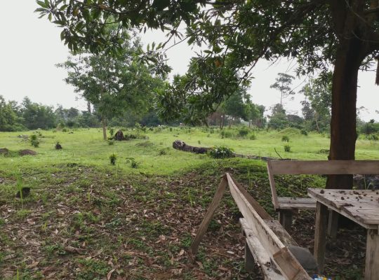 5000m2 à Angondje village
