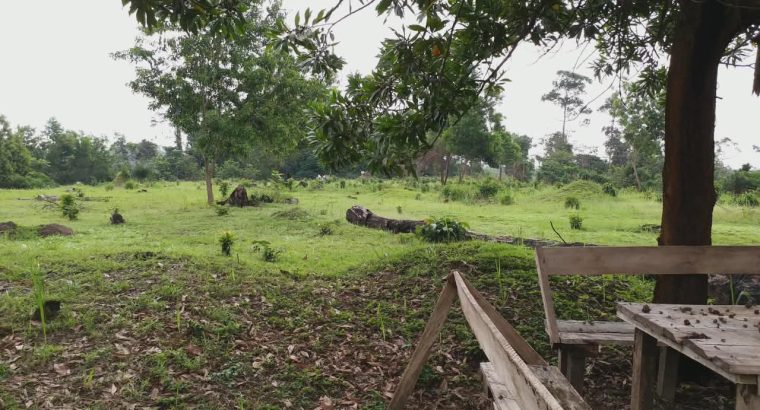 5000m2 à Angondje village