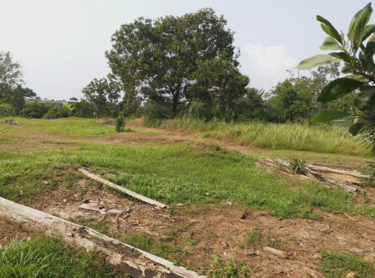 3 Hectares à Angondje