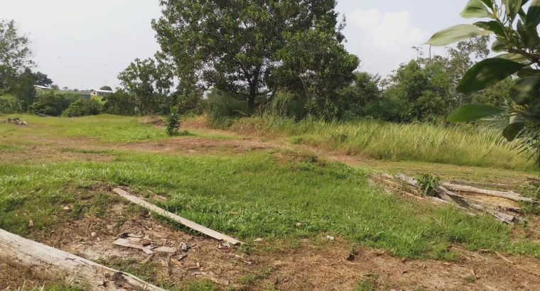 3 Hectares à Angondje