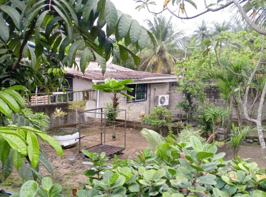 Villa 3 chambres et Studio à Alibandeng