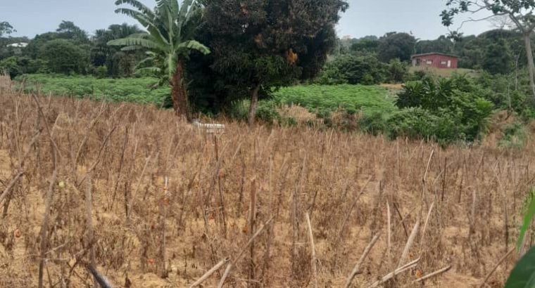Terrain de 8000m2 avec Titre foncier Okala