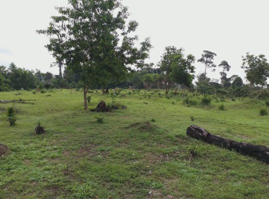 5000m2 à Angondje village