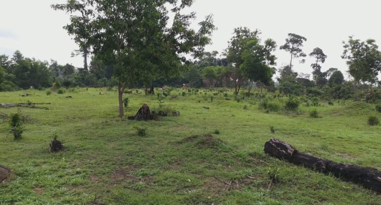 5000m2 à Angondje village
