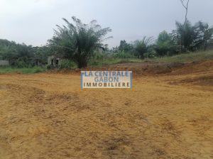 Terrain de 460m2 à Owendo Ça m’étonne