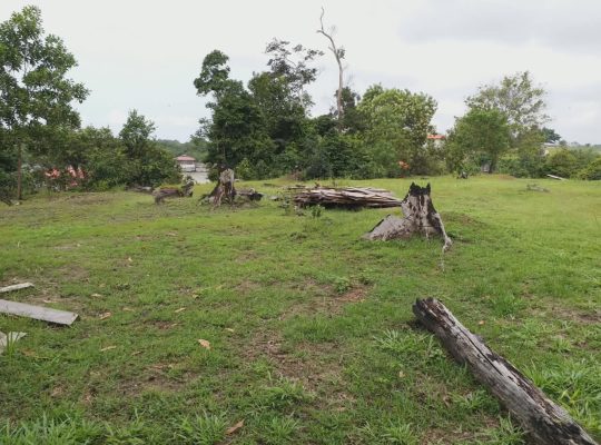 5000m2 à Angondje village