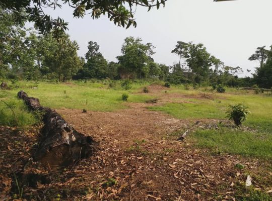 3 Hectares à Angondje