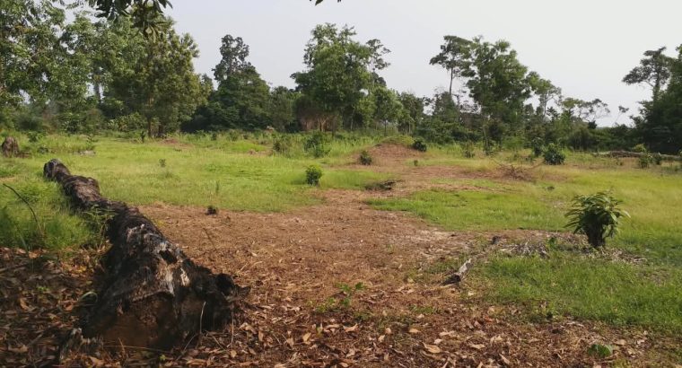 3 Hectares à Angondje