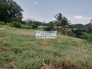 Terrain de 8000m2 avec Titre foncier Okala