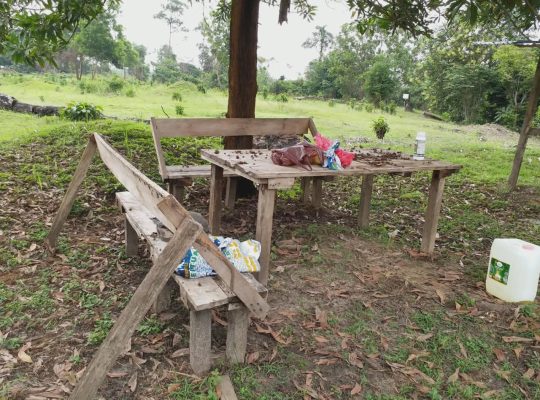 5000m2 à Angondje village
