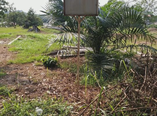 3 Hectares à Angondje