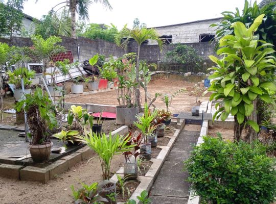 Villa 3 chambres et Studio à Alibandeng
