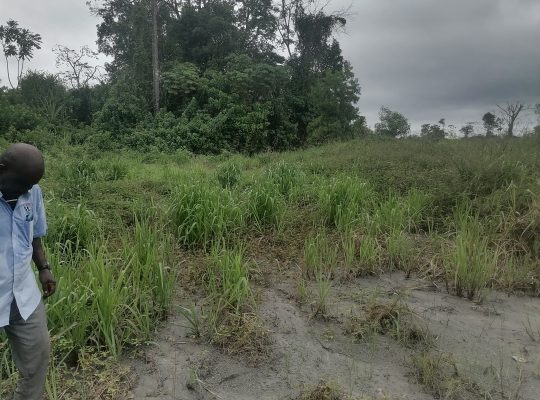 Terrain de 500m2 à Makwengue
