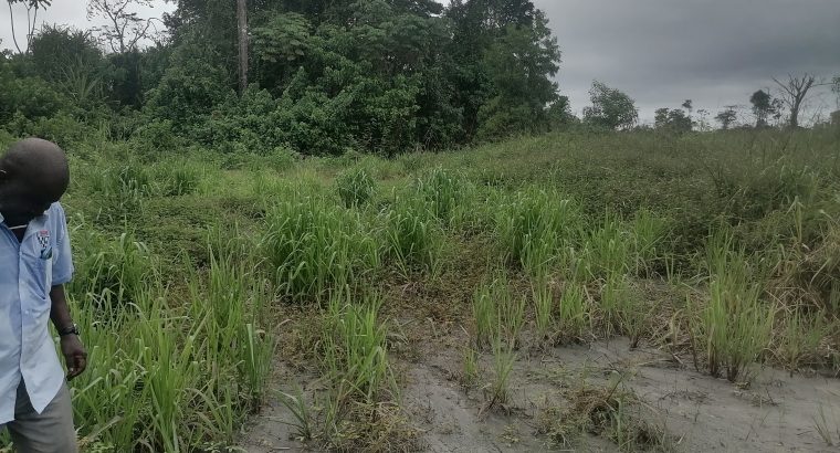 Terrain de 500m2 à Makwengue