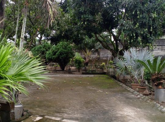 Villa 3 chambres et Studio à Alibandeng