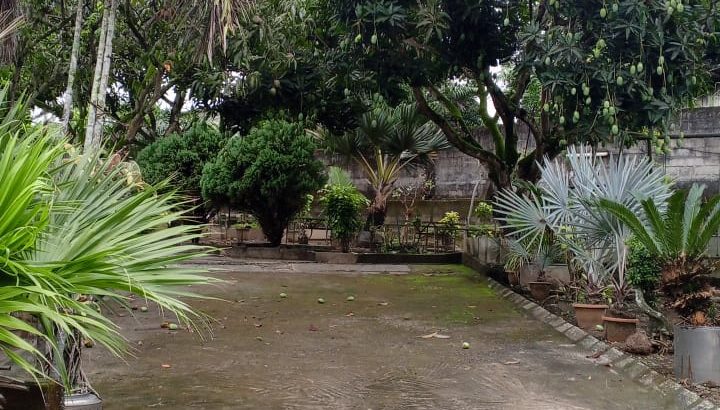Villa 3 chambres et Studio à Alibandeng