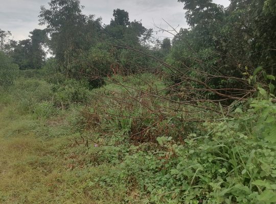 Terrain de 500m2 à Makwengue