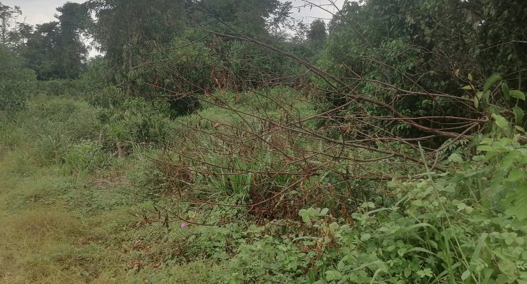 Terrain de 500m2 à Makwengue
