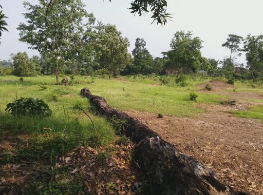 3 Hectares à Angondje