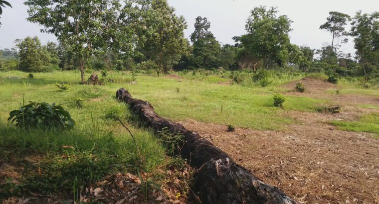 3 Hectares à Angondje