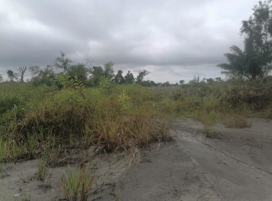 Terrain de 500m2 à Makwengue