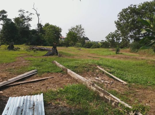 3 Hectares à Angondje