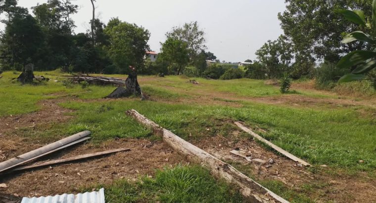 3 Hectares à Angondje