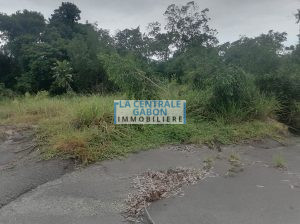 Terrain de 500m2 à Makwengue