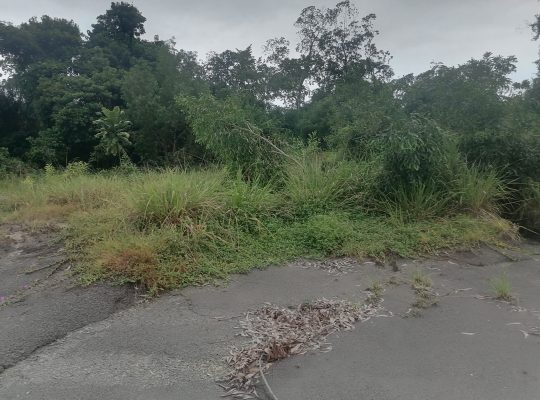 Terrain de 500m2 à Makwengue