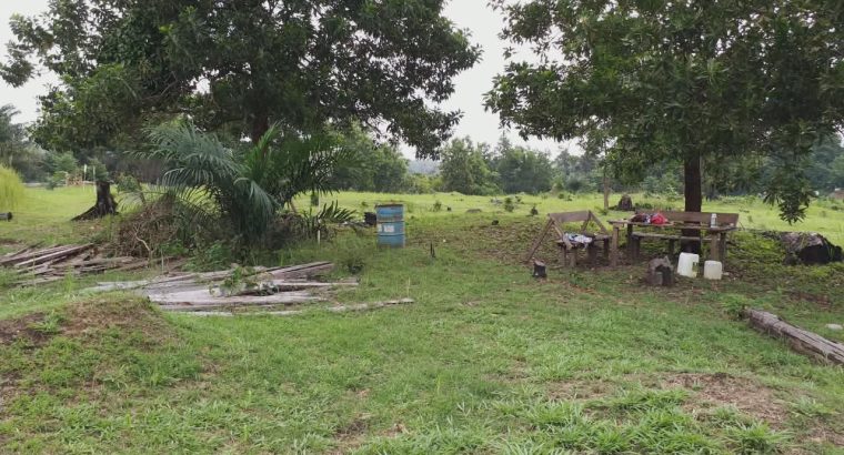 5000m2 à Angondje village
